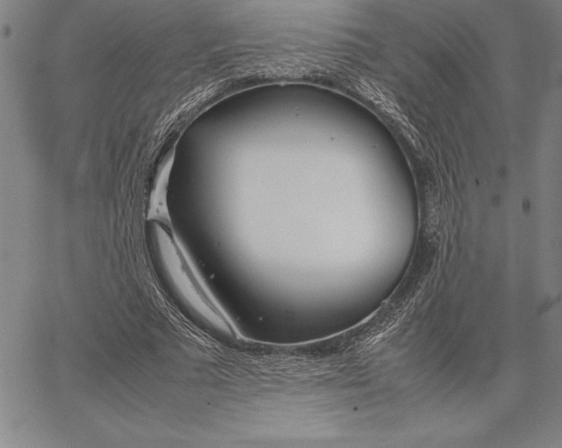 X0000067340681200604131726