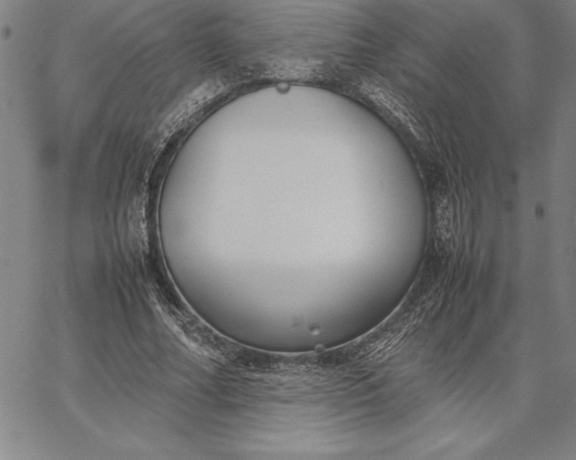 X0000067340682200604131726