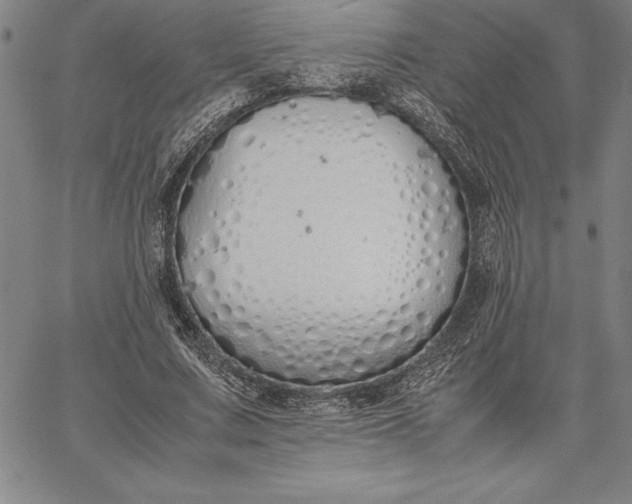 X0000067340683200604131726