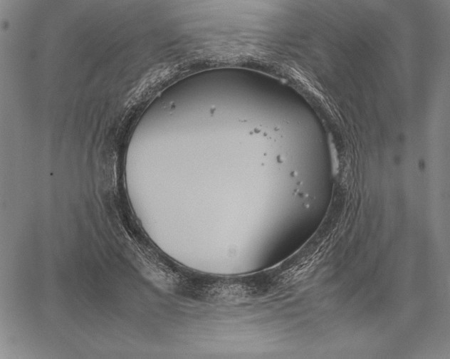 X0000067340685200604131726