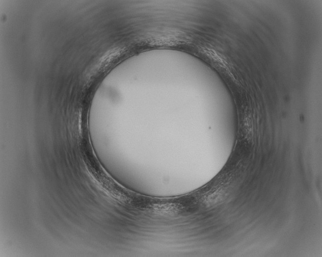 X0000067340686200604131726