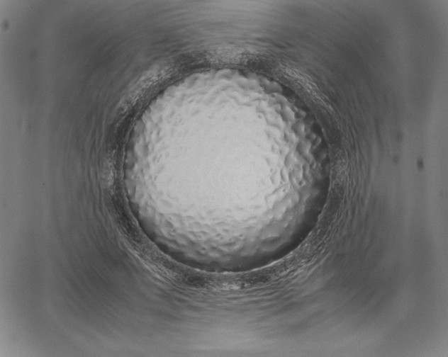 X0000067340687200604131726