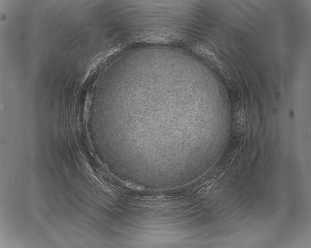 X0000067340688200604131726