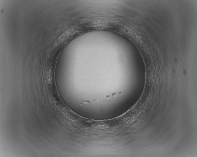 X0000067340689200604131726