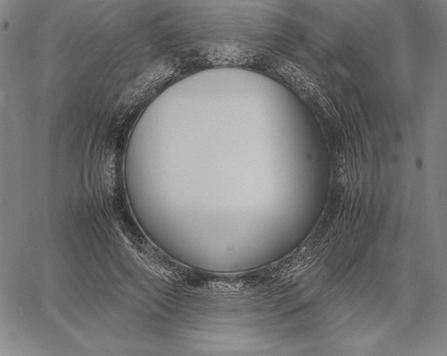 X0000067340690200604131726