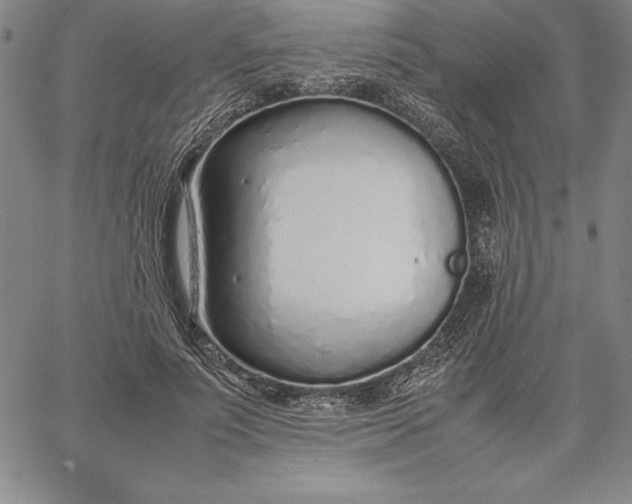 X0000067340691200604131726