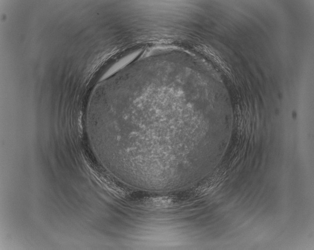 X0000067340692200604131726