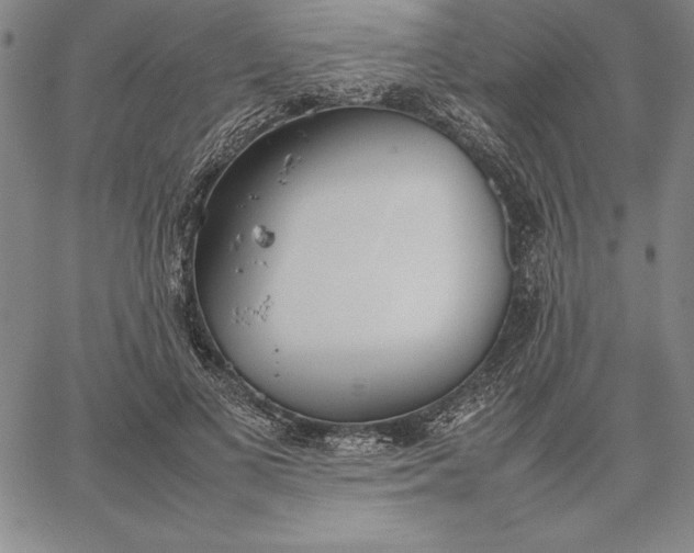 X0000067340693200604131726