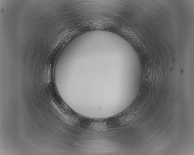 X0000067340694200604131726