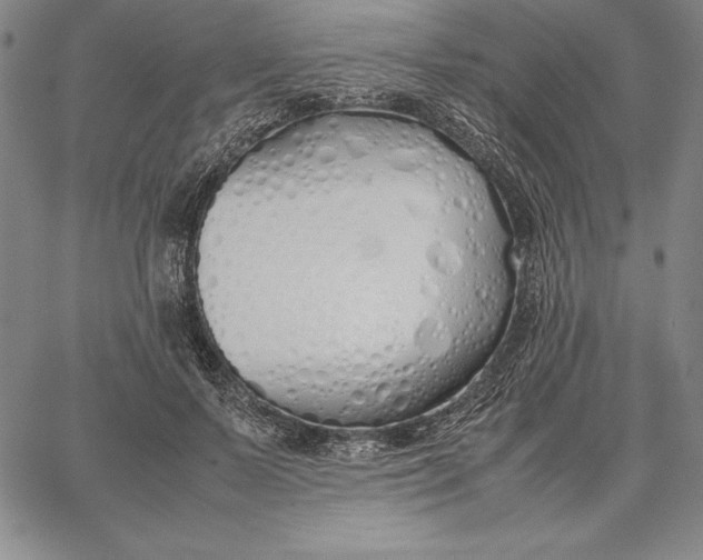 X0000067340695200604131726