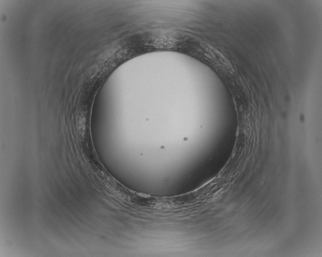 X0000067340697200604131726