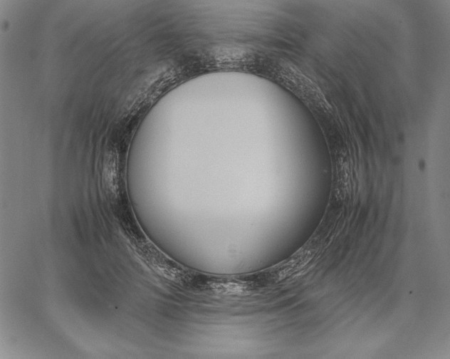 X0000067340698200604131726