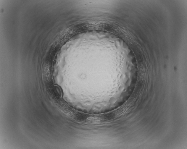 X0000067340699200604131726