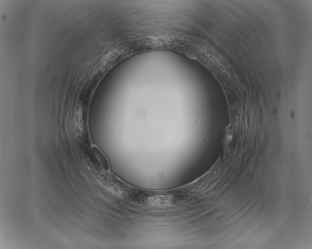 X0000067340700200604131726