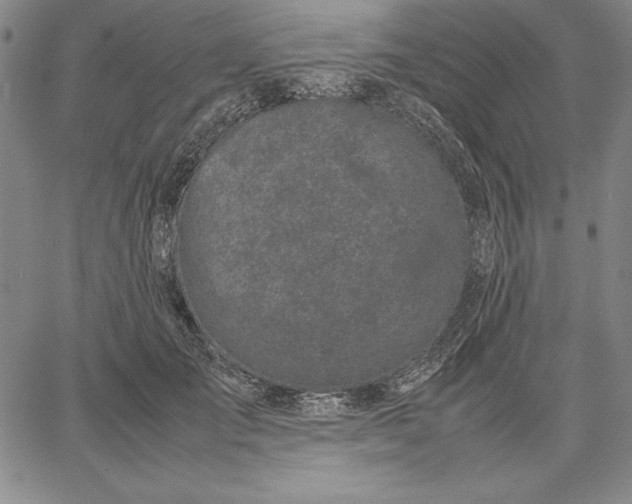 X0000067340701200604131726