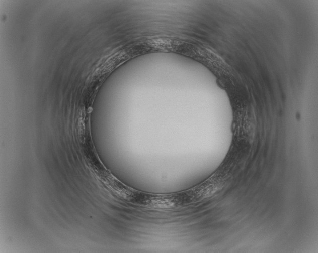 X0000067340702200604131726