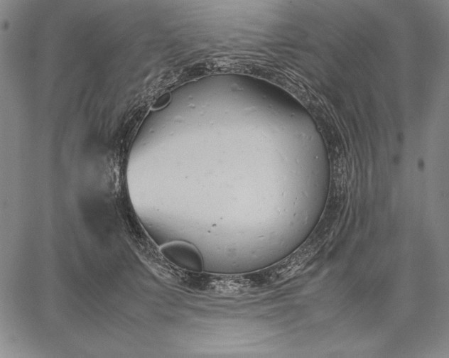 X0000067340703200604131726