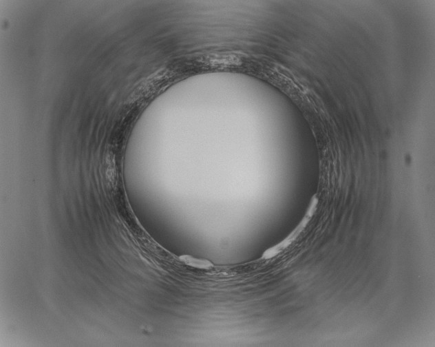 X0000067340704200604131726