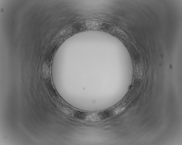 X0000067340705200604131726