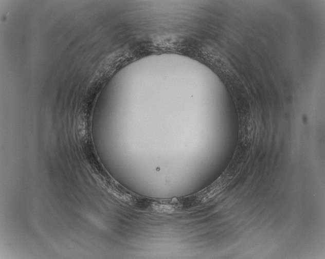 X0000067340706200604131726