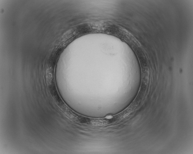 X0000067340707200604131726