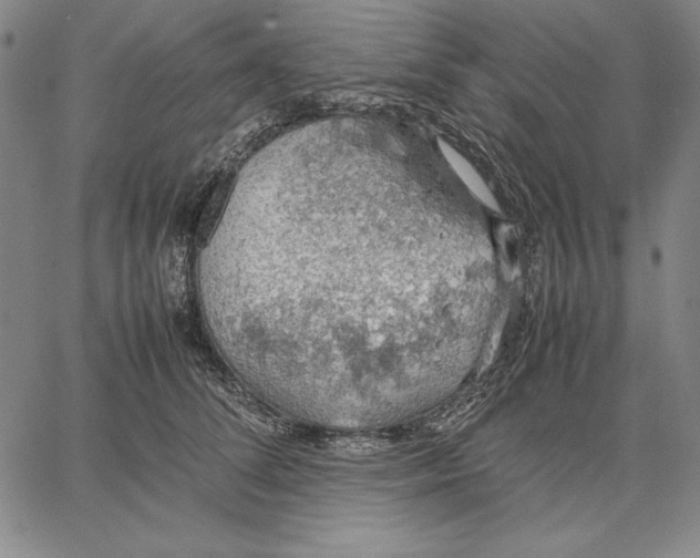 X0000067340708200604131726