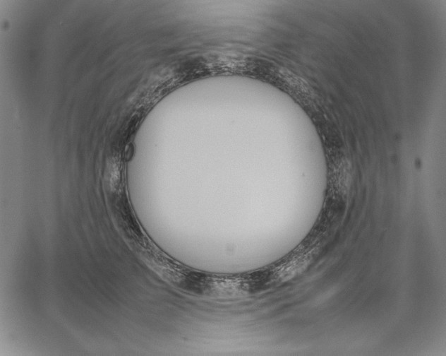 X0000067340709200604131726