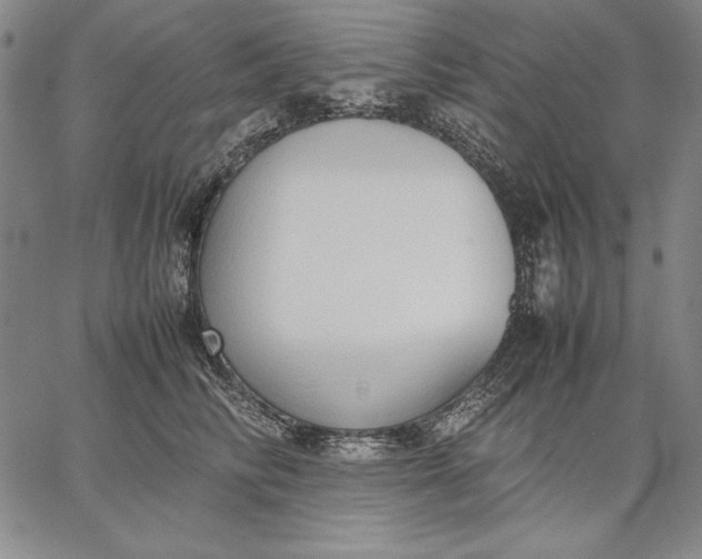 X0000067340710200604131726