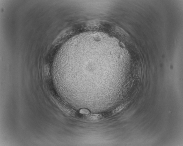 X0000067340711200604131726