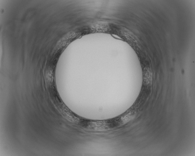 X0000067340713200604131726