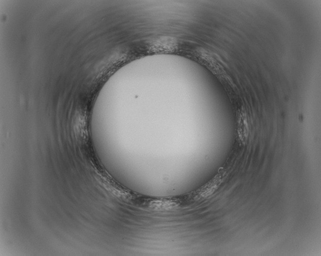 X0000067340714200604131726