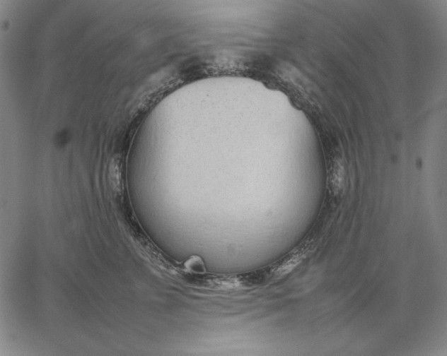 X0000067340715200604131726