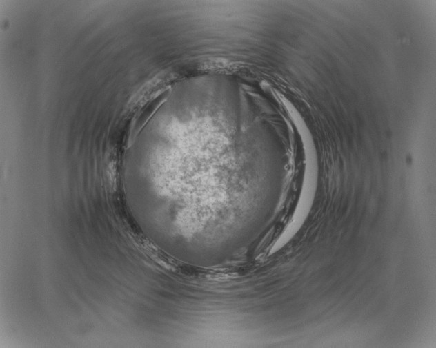 X0000067340716200604131726