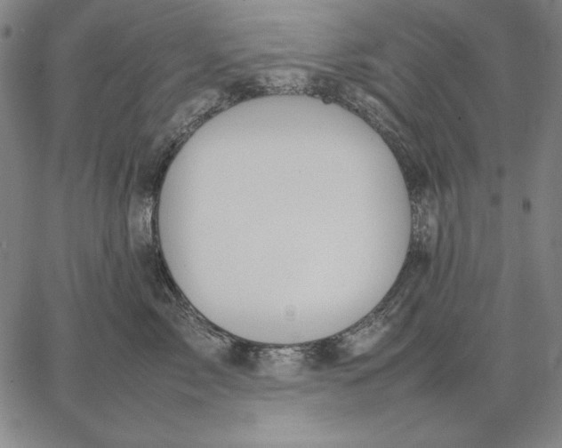 X0000067340717200604131726