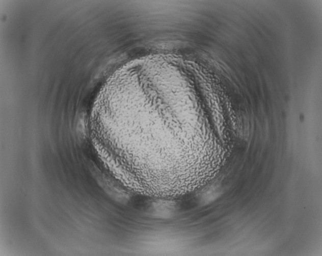 X0000067340718200604131726