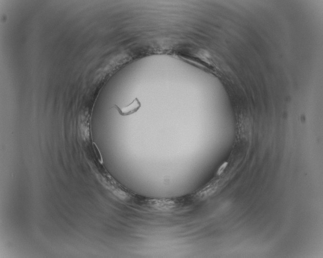 X0000067340719200604131726