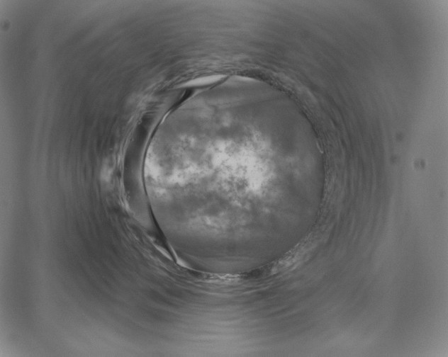 X0000067340720200604131726