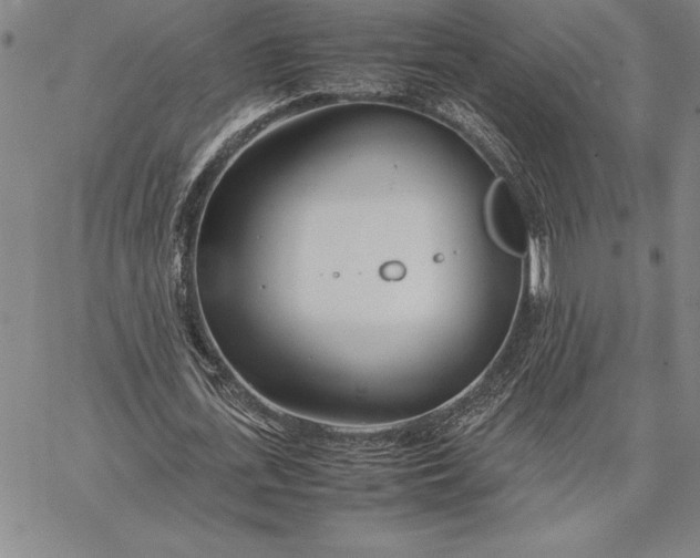 X0000067340723200604131725