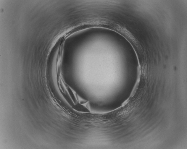 X0000067340724200604131725