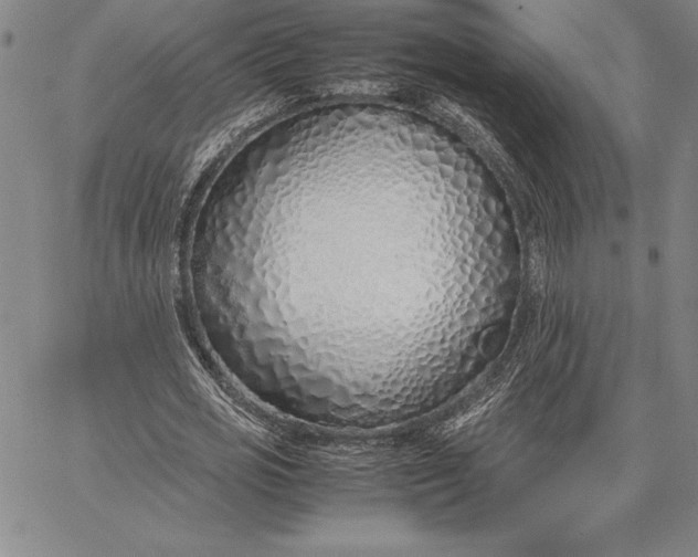 X0000067340725200604131725