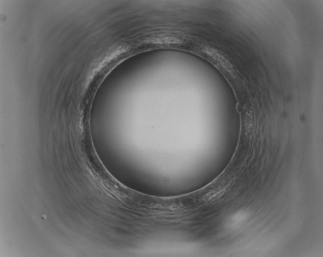 X0000067340727200604131725