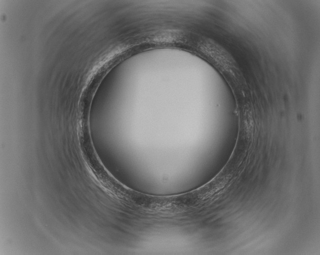 X0000067340728200604131725