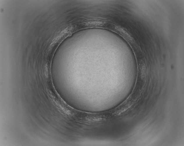 X0000067340729200604131725