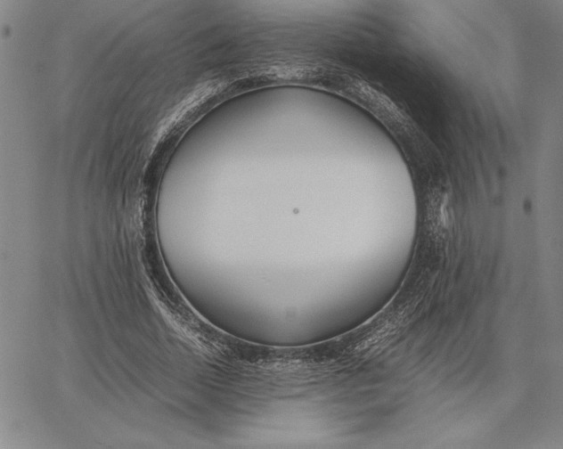 X0000067340730200604131725