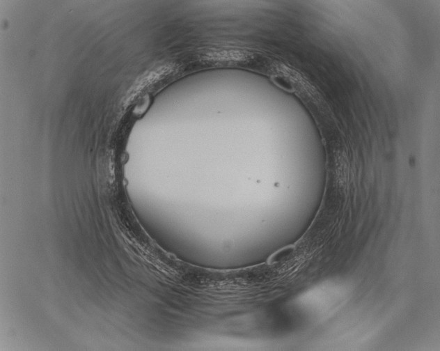 X0000067340731200604131725