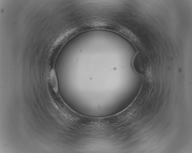 X0000067340732200604131725