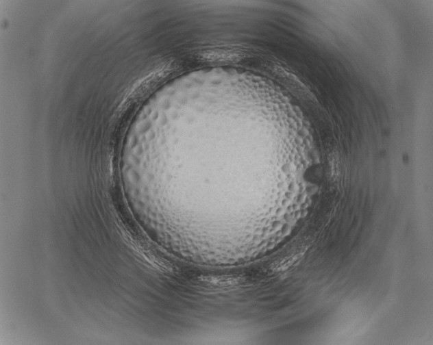 X0000067340733200604131725