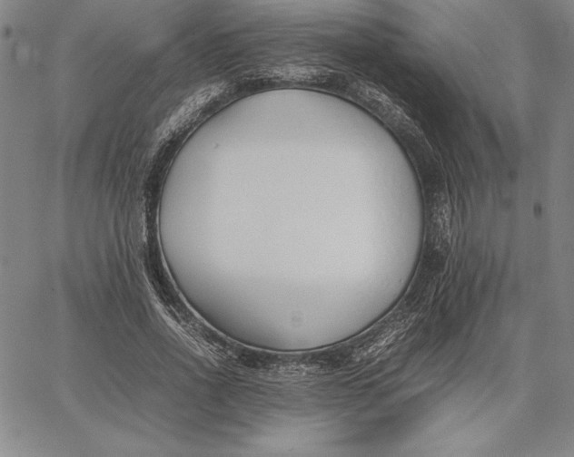 X0000067340734200604131725