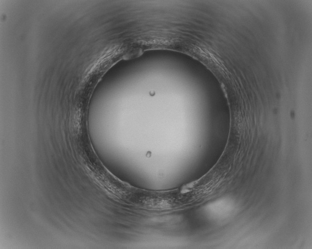 X0000067340735200604131725