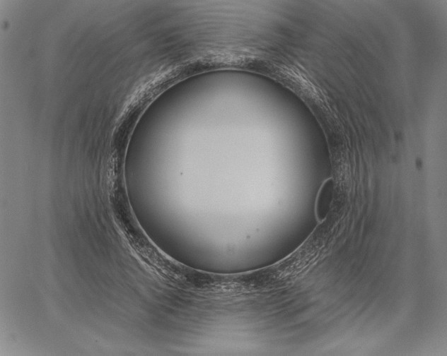 X0000067340736200604131725